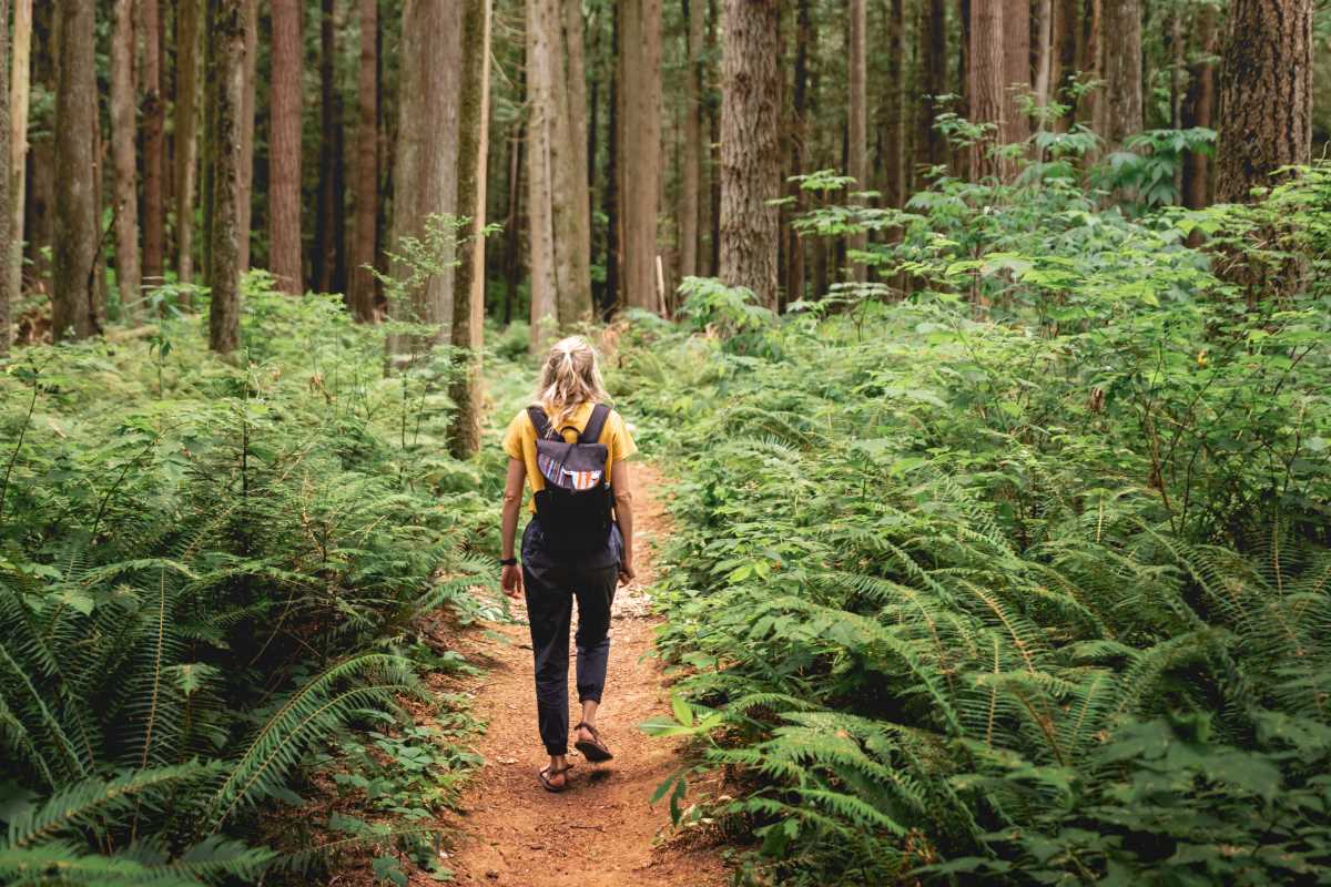 Hiking Trails Perfect for Beginners